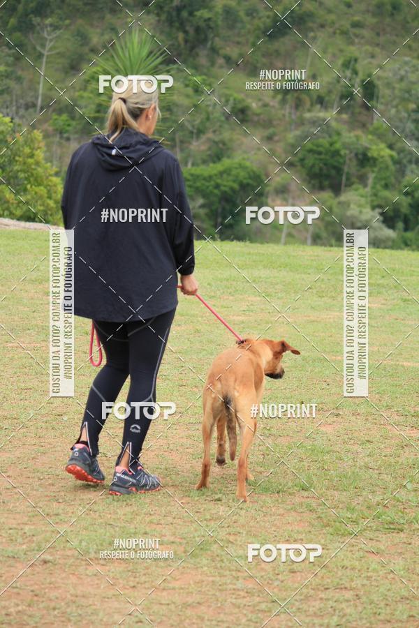 Buy your photos of the eventKaluan� Trail e Canicross - Irisphoto on Fotop