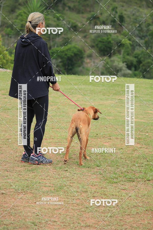 Buy your photos of the eventKaluan� Trail e Canicross - Irisphoto on Fotop