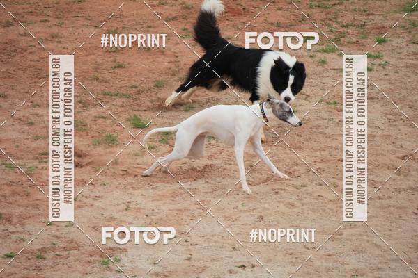 Buy your photos of the eventKaluan� Trail e Canicross - Irisphoto on Fotop