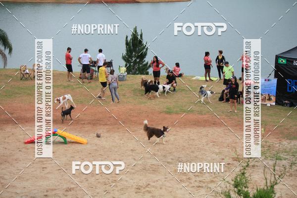 Buy your photos of the eventKaluan� Trail e Canicross - Irisphoto on Fotop