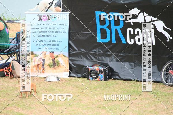 Buy your photos of the eventKaluan� Trail e Canicross - Irisphoto on Fotop