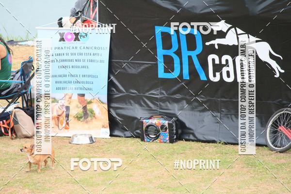 Buy your photos of the eventKaluan� Trail e Canicross - Irisphoto on Fotop