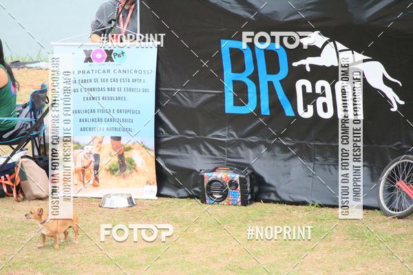 Buy your photos of the eventKaluan� Trail e Canicross - Irisphoto on Fotop