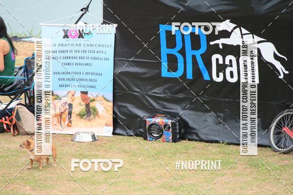 Buy your photos of the eventKaluan� Trail e Canicross - Irisphoto on Fotop