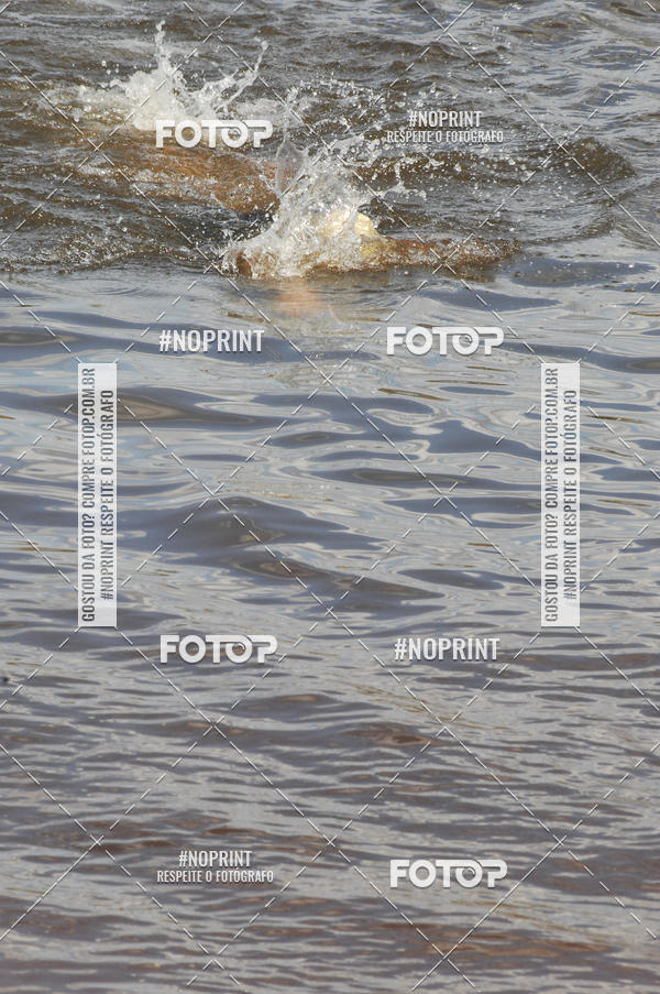 Buy your photos of the event3a Etapa Terra X3 Off Road Tri 2019 - Parte 1 on Fotop