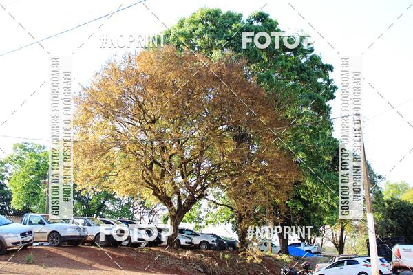 Buy your photos of the event3a Etapa Terra X3 Off Road Tri 2019 - Parte 1 on Fotop
