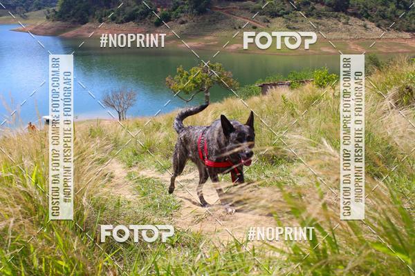 Buy your photos of the eventVII Corrida Jernimo Gomez Villarino on Fotop