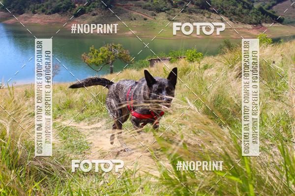 Buy your photos of the eventVII Corrida Jernimo Gomez Villarino on Fotop