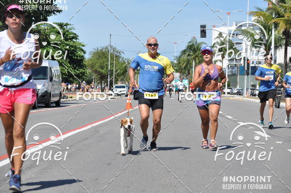 Buy your photos of the event21KES - MEIA MARATONA DO ESPRITO SANTO on Fotop