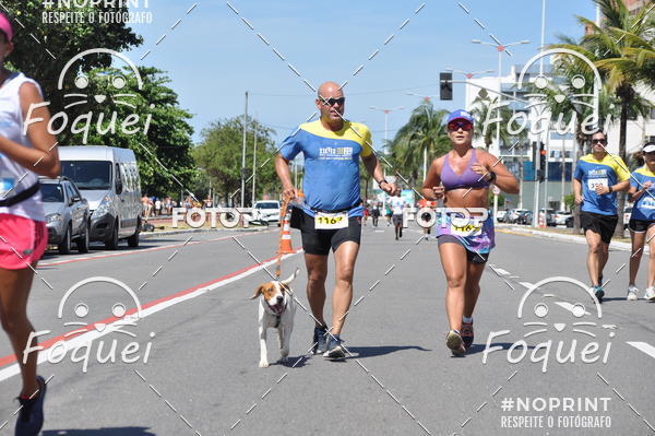 Buy your photos of the event21KES - MEIA MARATONA DO ESPRITO SANTO on Fotop