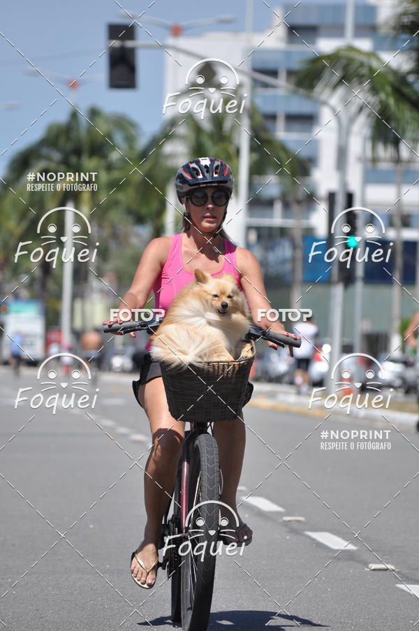 Buy your photos of the event21KES - MEIA MARATONA DO ESPRITO SANTO on Fotop