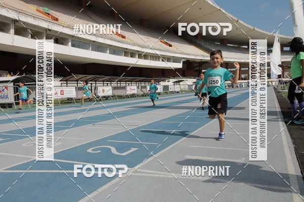 Buy your photos of the eventCORRIDINHA DO C�RIO 2019 on Fotop