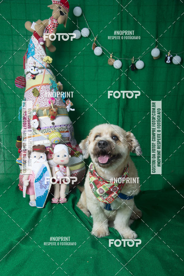 Buy your photos of the eventFotografia Pet Veterin�ria S�o Francisco on Fotop