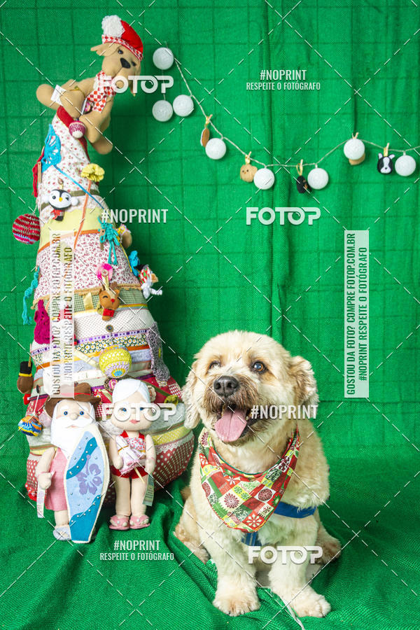 Buy your photos of the eventFotografia Pet Veterin�ria S�o Francisco on Fotop