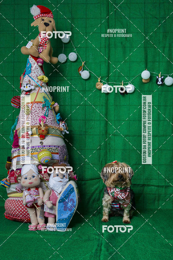 Buy your photos of the eventFotografia Pet Veterin�ria S�o Francisco on Fotop