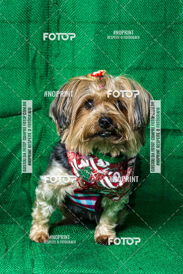 Buy your photos of the eventFotografia Pet Veterin�ria S�o Francisco on Fotop