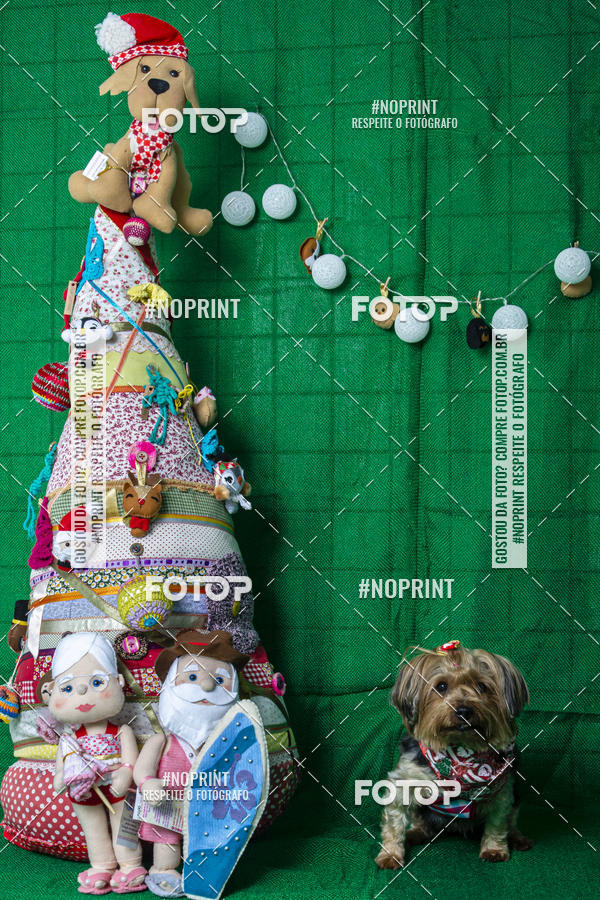 Buy your photos of the eventFotografia Pet Veterin�ria S�o Francisco on Fotop