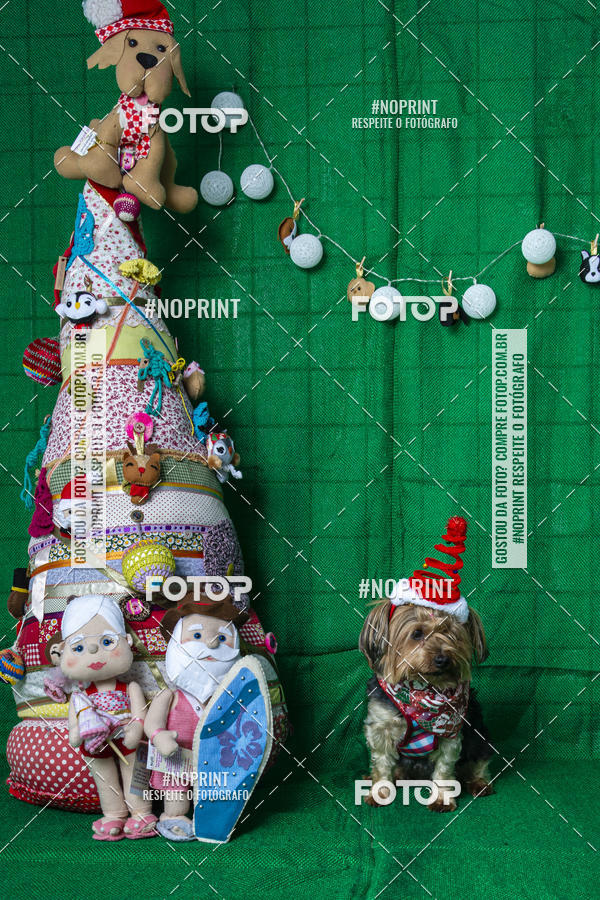 Buy your photos of the eventFotografia Pet Veterin�ria S�o Francisco on Fotop