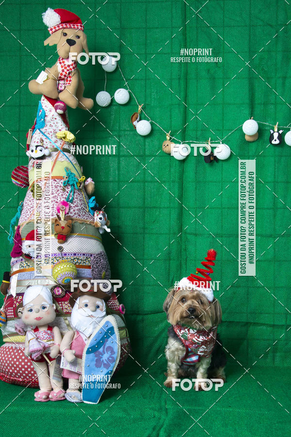 Buy your photos of the eventFotografia Pet Veterin�ria S�o Francisco on Fotop