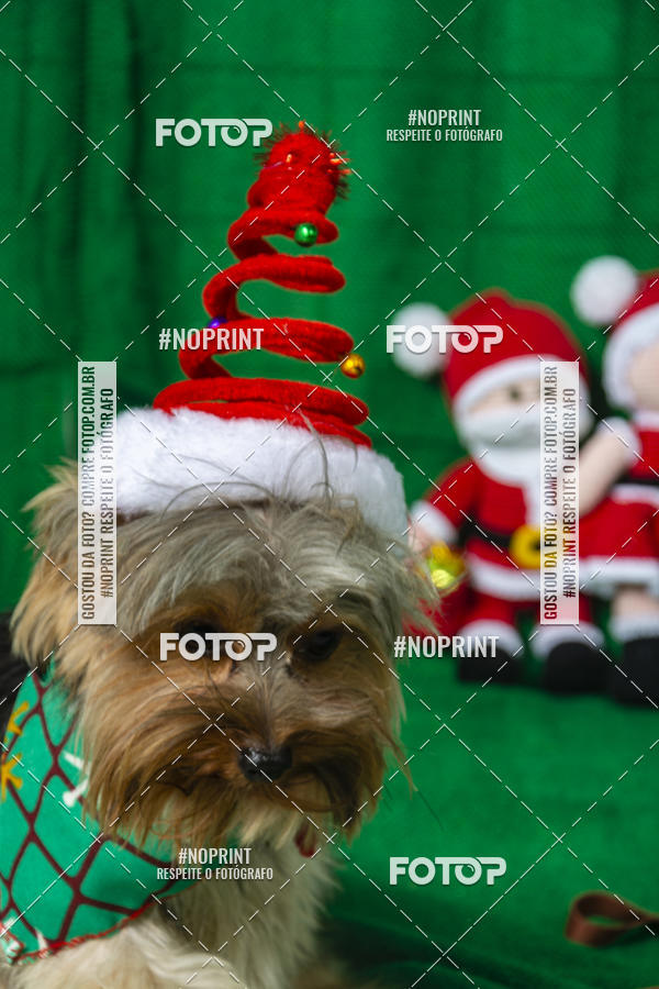 Buy your photos of the eventFotografia Pet Veterin�ria S�o Francisco on Fotop