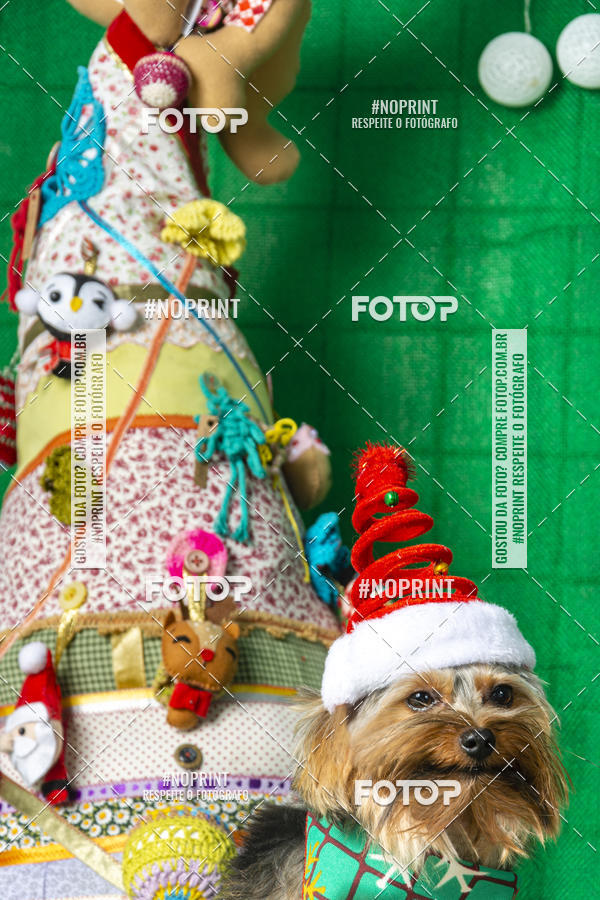 Buy your photos of the eventFotografia Pet Veterin�ria S�o Francisco on Fotop