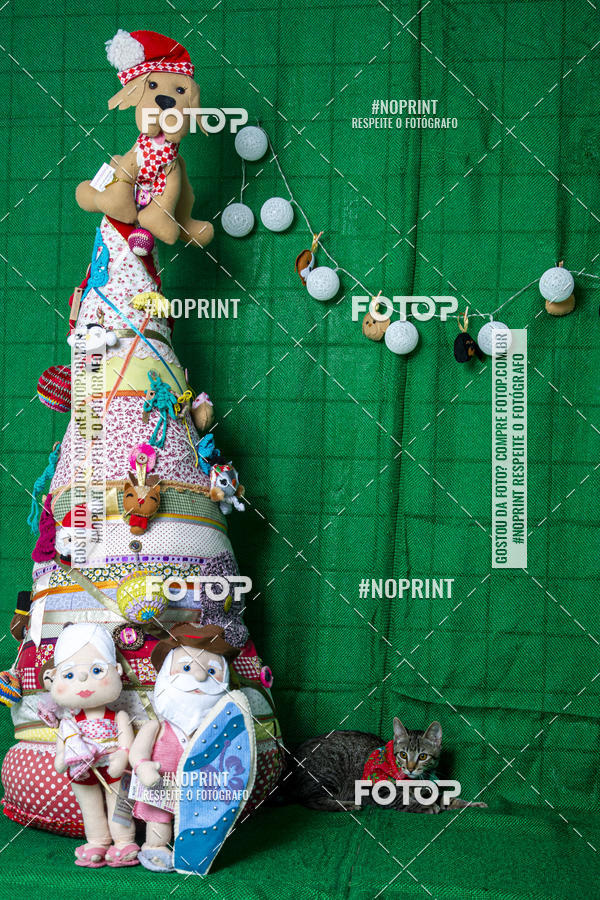 Buy your photos of the eventFotografia Pet Veterin�ria S�o Francisco on Fotop