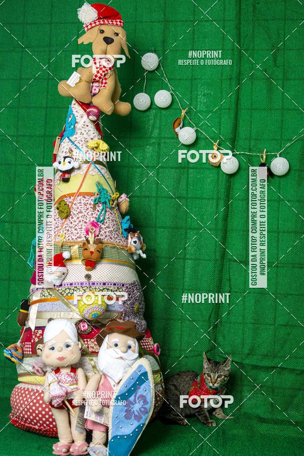 Buy your photos of the eventFotografia Pet Veterin�ria S�o Francisco on Fotop