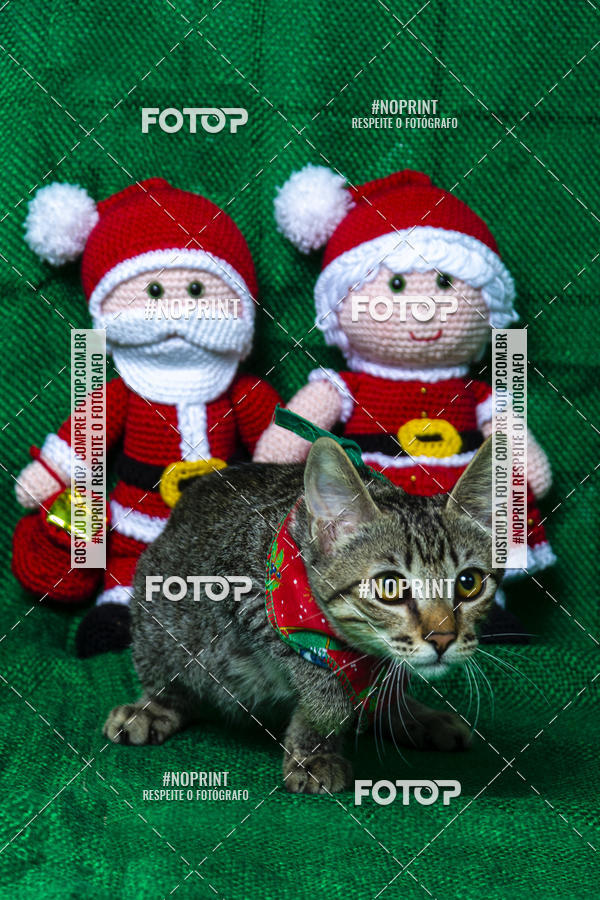 Buy your photos of the eventFotografia Pet Veterin�ria S�o Francisco on Fotop