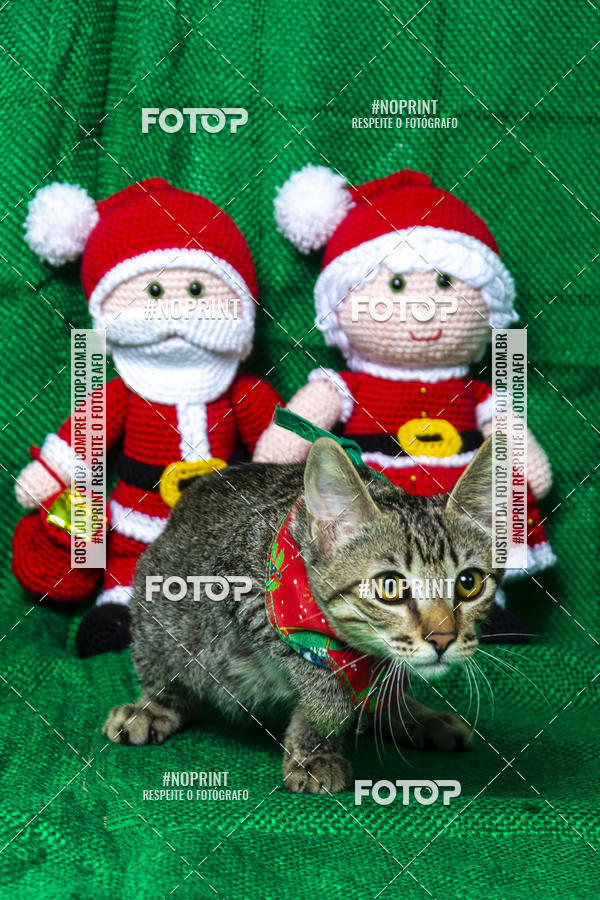 Buy your photos of the eventFotografia Pet Veterin�ria S�o Francisco on Fotop