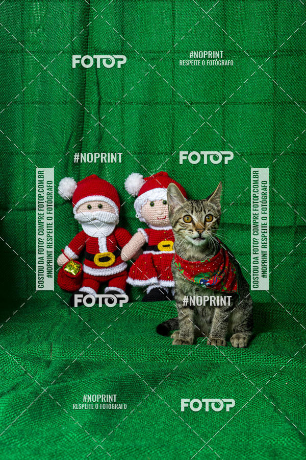 Buy your photos of the eventFotografia Pet Veterin�ria S�o Francisco on Fotop