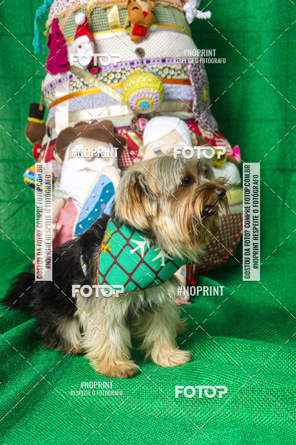 Buy your photos of the eventFotografia Pet Veterin�ria S�o Francisco on Fotop