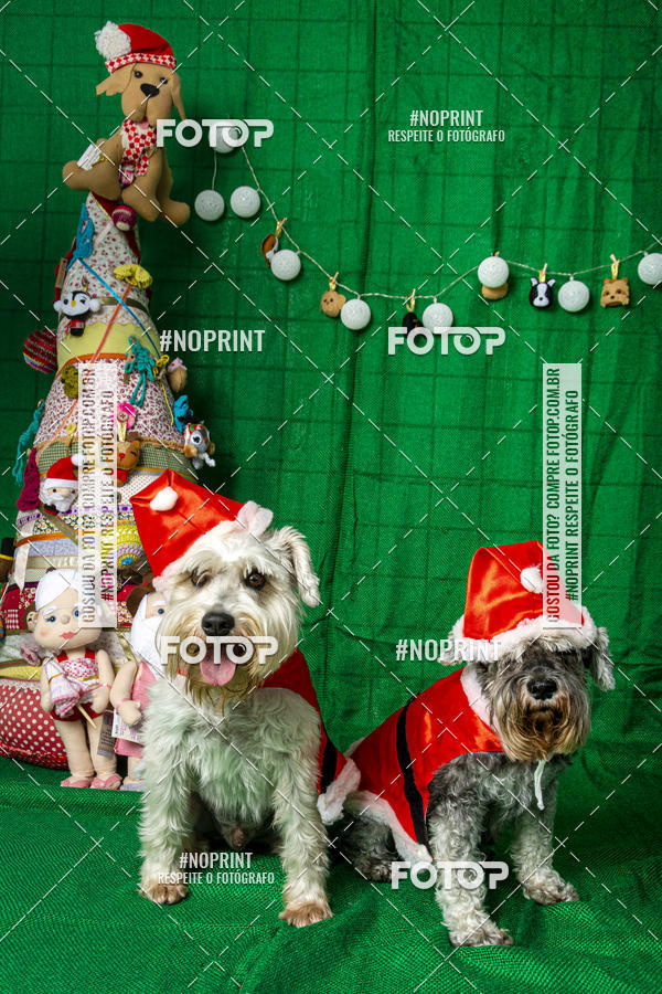 Buy your photos of the eventFotografia Pet Veterin�ria S�o Francisco on Fotop