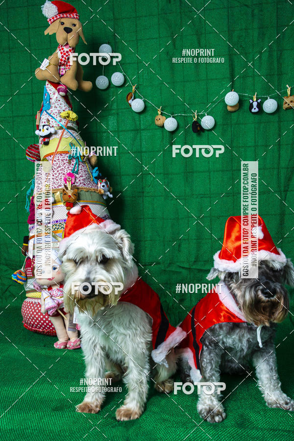 Buy your photos of the eventFotografia Pet Veterin�ria S�o Francisco on Fotop