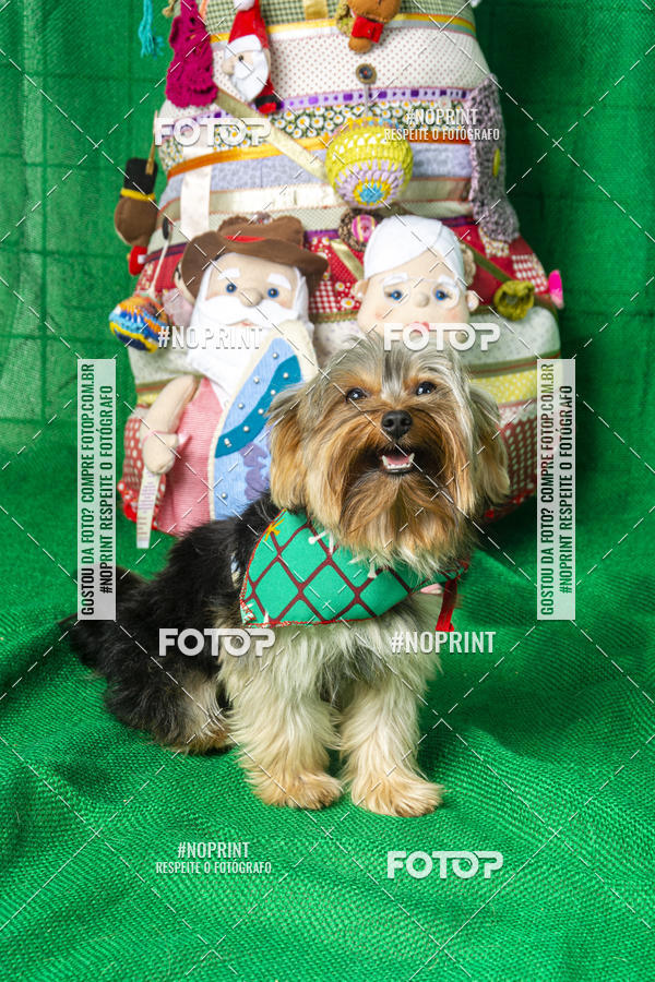 Buy your photos of the eventFotografia Pet Veterin�ria S�o Francisco on Fotop