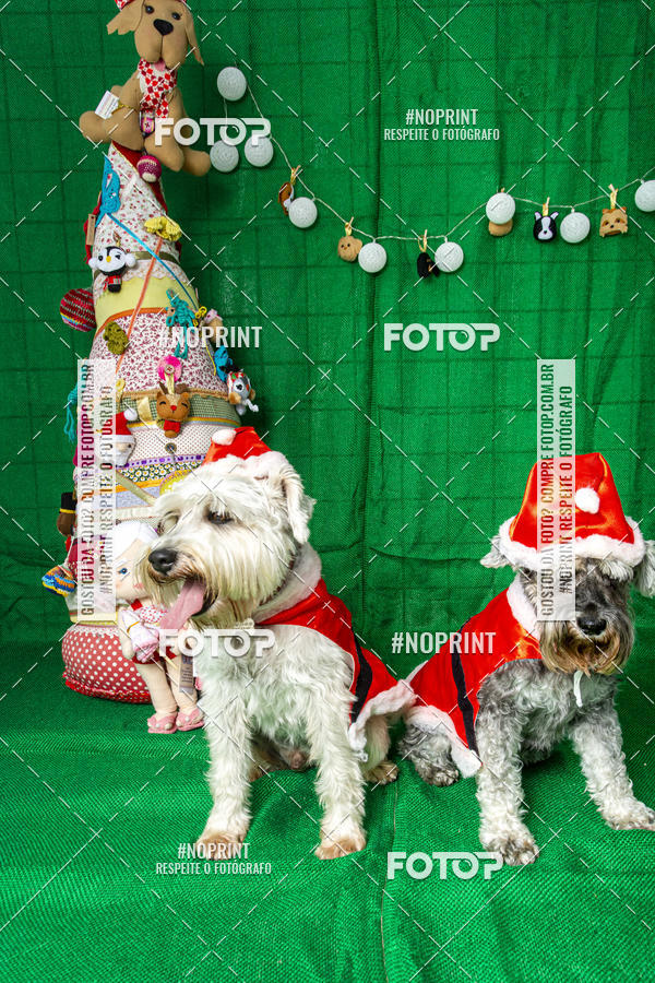 Buy your photos of the eventFotografia Pet Veterin�ria S�o Francisco on Fotop