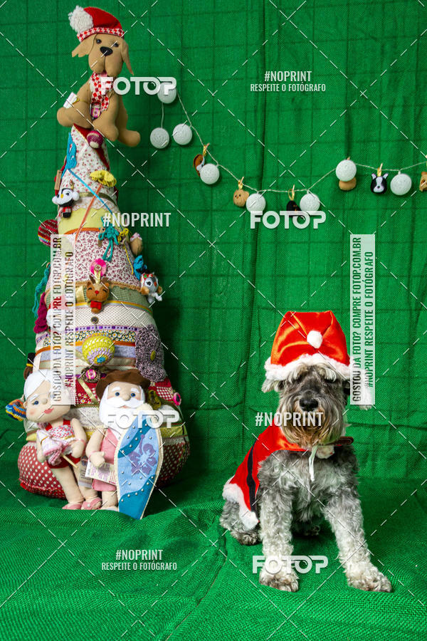 Buy your photos of the eventFotografia Pet Veterin�ria S�o Francisco on Fotop