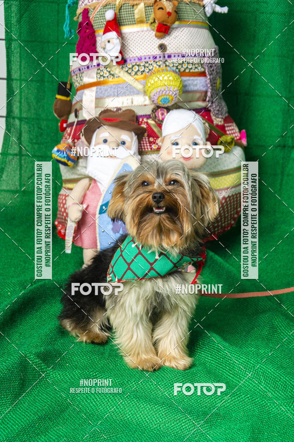 Buy your photos of the eventFotografia Pet Veterin�ria S�o Francisco on Fotop