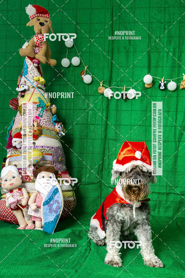 Buy your photos of the eventFotografia Pet Veterin�ria S�o Francisco on Fotop