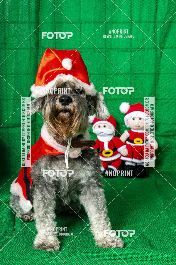 Buy your photos of the eventFotografia Pet Veterin�ria S�o Francisco on Fotop