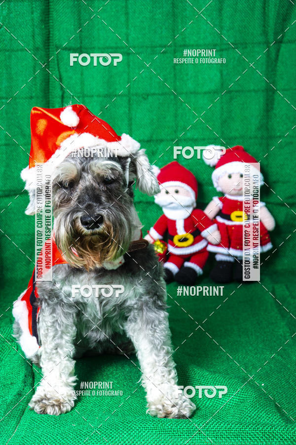 Buy your photos of the eventFotografia Pet Veterin�ria S�o Francisco on Fotop