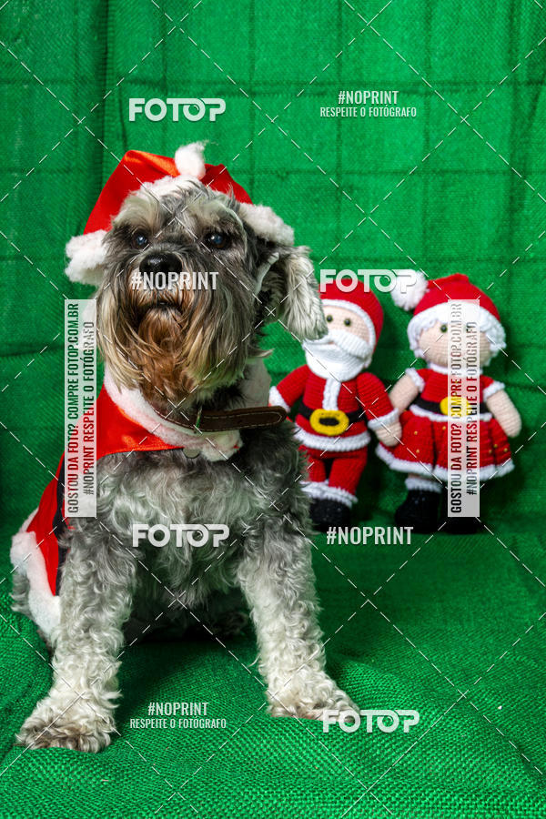 Buy your photos of the eventFotografia Pet Veterin�ria S�o Francisco on Fotop