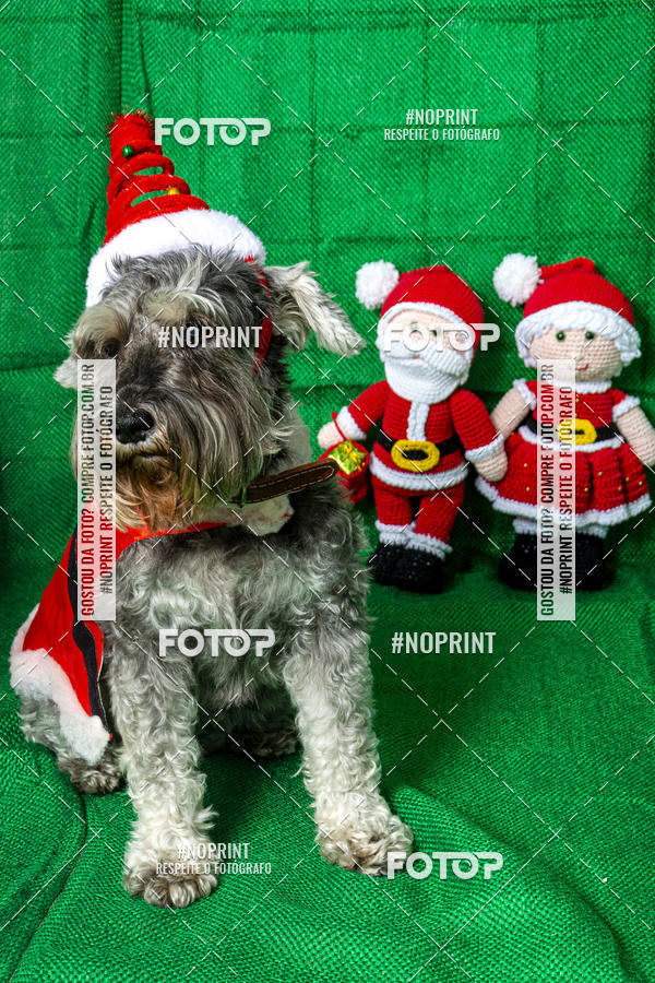 Buy your photos of the eventFotografia Pet Veterin�ria S�o Francisco on Fotop