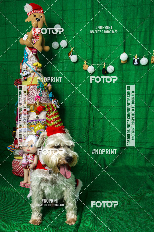 Buy your photos of the eventFotografia Pet Veterin�ria S�o Francisco on Fotop