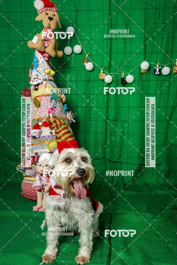 Buy your photos of the eventFotografia Pet Veterin�ria S�o Francisco on Fotop