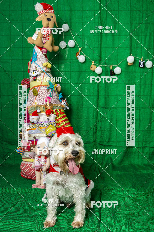 Buy your photos of the eventFotografia Pet Veterin�ria S�o Francisco on Fotop