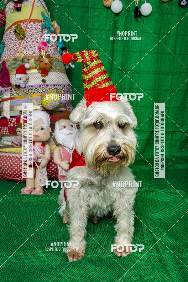 Buy your photos of the eventFotografia Pet Veterin�ria S�o Francisco on Fotop