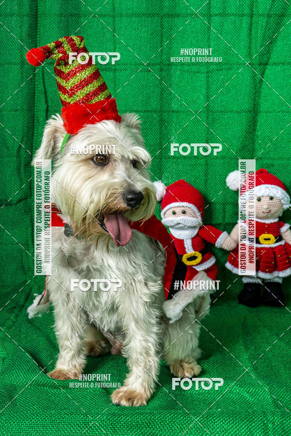 Buy your photos of the eventFotografia Pet Veterin�ria S�o Francisco on Fotop
