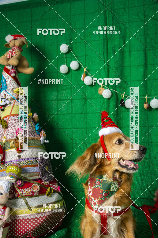 Buy your photos of the eventFotografia Pet Veterin�ria S�o Francisco on Fotop