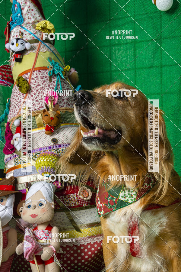 Buy your photos of the eventFotografia Pet Veterin�ria S�o Francisco on Fotop