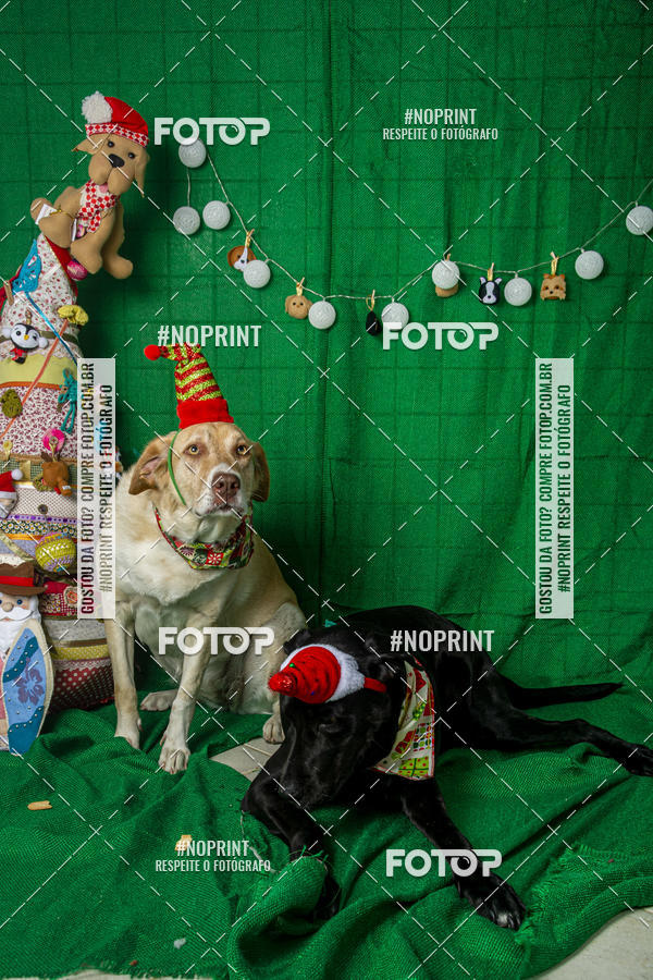 Buy your photos of the eventFotografia Pet Veterin�ria S�o Francisco on Fotop